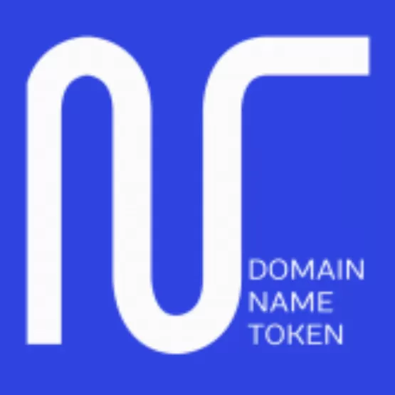 Domain name token