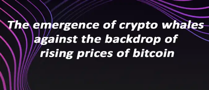 The emergence of crypto whales against the backdrop of rising prices of bitcoin