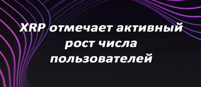 XRP отмечает активный рост числа пользователей XRP отмечает активный рост числа пользователей