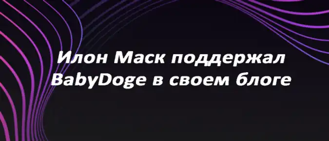 Илон Маск поддержал BabyDoge в своем блоге Илон Маск поддержал BabyDoge в своем блоге