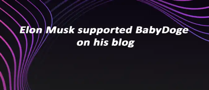 Elon Musk supported BabyDoge on his blog Elon Musk supported BabyDoge on his blog