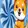 Baby Doge Swap logo