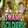 Swamp Soldiers logo