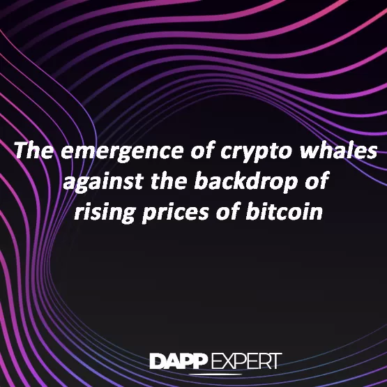 The emergence of crypto whales against the backdrop of rising prices of bitcoin