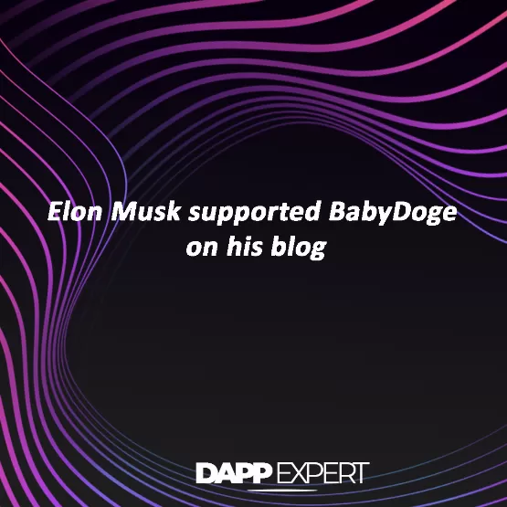 Elon musk supported babydoge on his blog