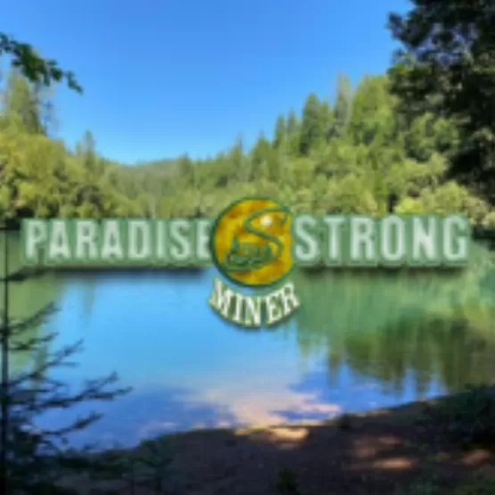 Paradise strong miner