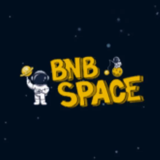 BNBSpace  High-risk - dapp.expert