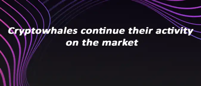Cryptowhales continue their activity on the market