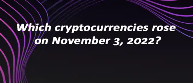 Which cryptocurrencies rose on November 3, 2022?