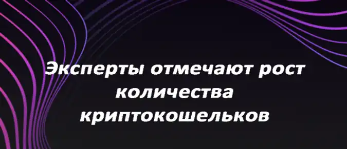 Эксперты отмечают рост количества криптокошельков Эксперты отмечают рост количества криптокошельков