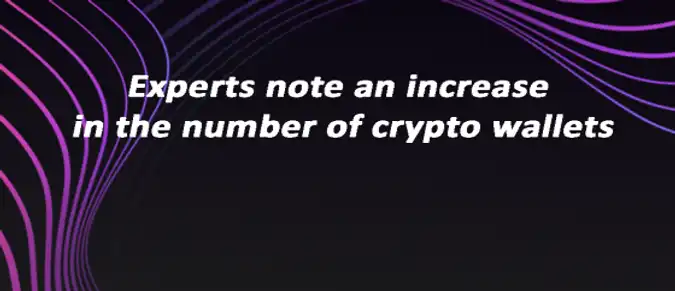 Experts note an increase in the number of crypto wallets Experts note an increase in the number of crypto wallets