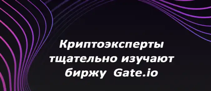 Криптоэксперты тщательно изучают биржу Gate.io