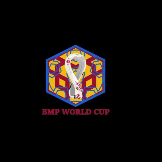 BMP WORLD CUP  High-risk - dapp.expert