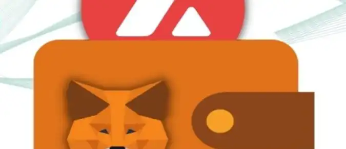 Руководство по подключению сети Avalanche к MetaMask