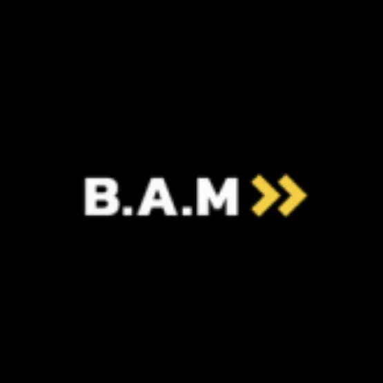 B.A.M - уникальная платформа для приумножения средств