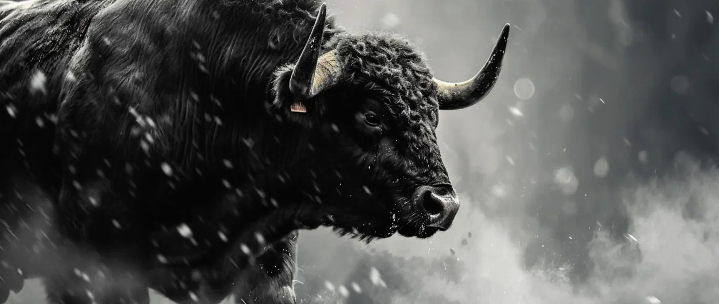 The analyst announced that the bull market is starting