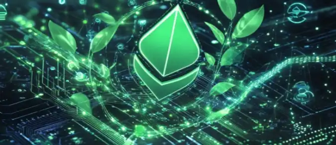 RAIN Coin Review: What You Need to Know About the New Token RAIN Coin Review: What You Need to Know About the New Token