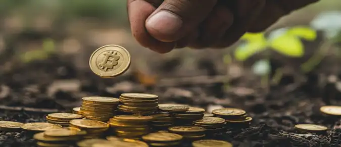 Application of Decentralized Applications in Crowdfunding and Investment