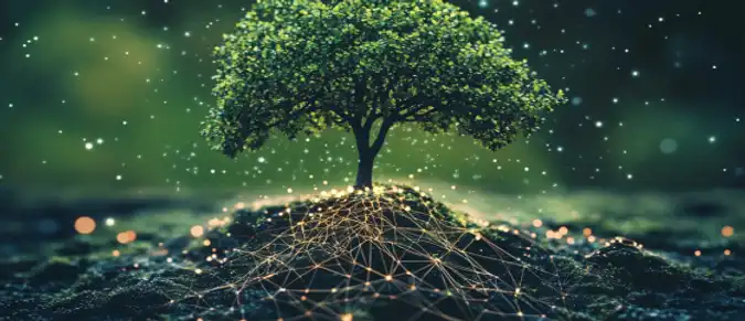 Blockchain and DApps in Sustainable Development: Protecting the Environment with Technology Blockchain and DApps in Sustainable Development: Protecting the Environment with Technology