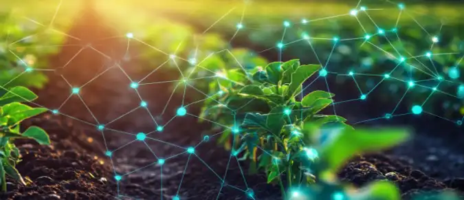 How dApps are Transforming Various Industries: Agriculture, Finance, and More How dApps are Transforming Various Industries: Agriculture, Finance, and More