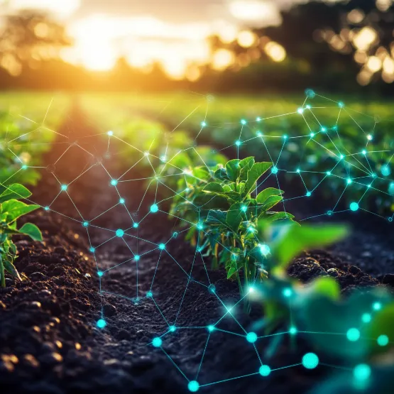 How dApps are Transforming Various Industries: Agriculture, Finance, and More