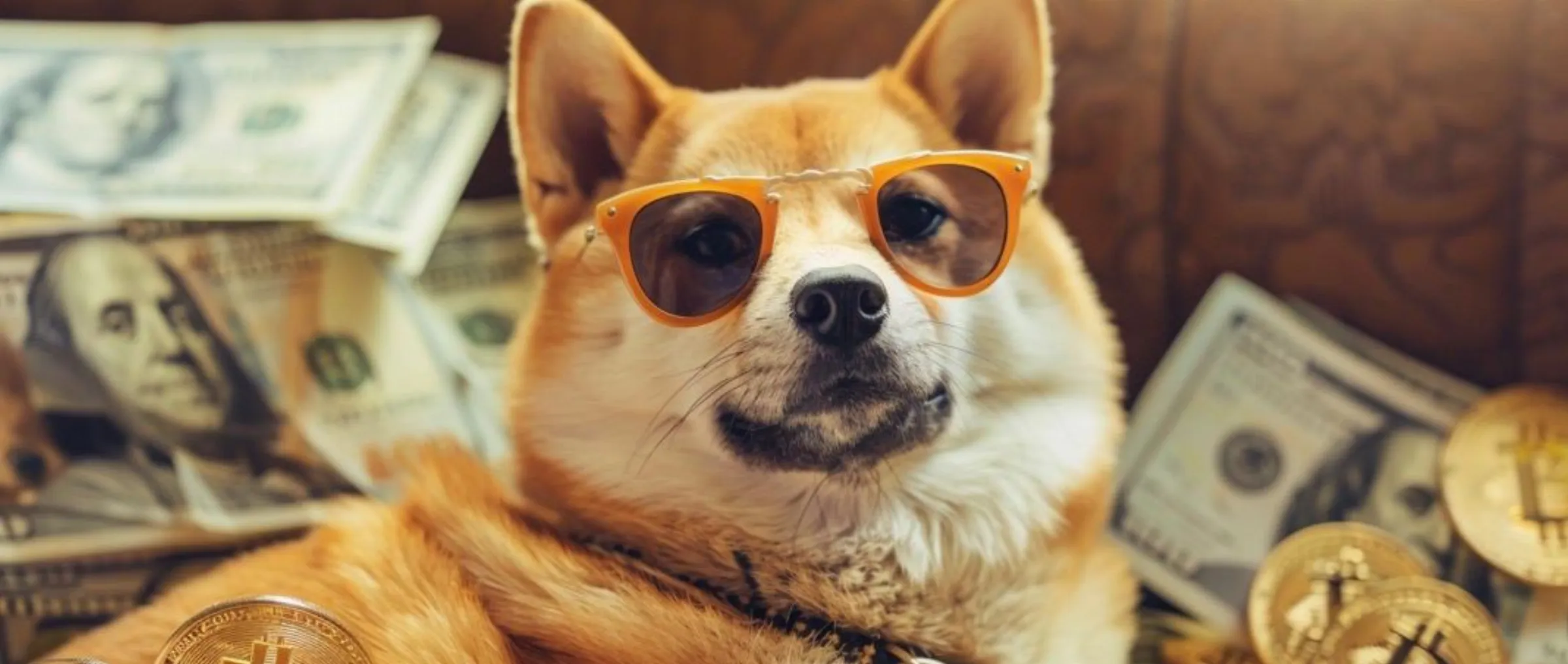 Three Cryptocurrencies: Bone ShibaSwap, Bitcoin Dogs, and MoonBag