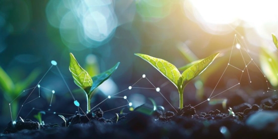 DePIN: Investment Records in Decentralized Infrastructure DePIN: Investment Records in Decentralized Infrastructure