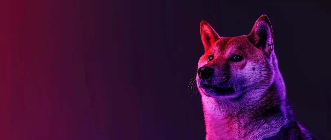 Dogecoin стремится к ETF: перспективы и вызовы Dogecoin стремится к ETF: перспективы и вызовы
