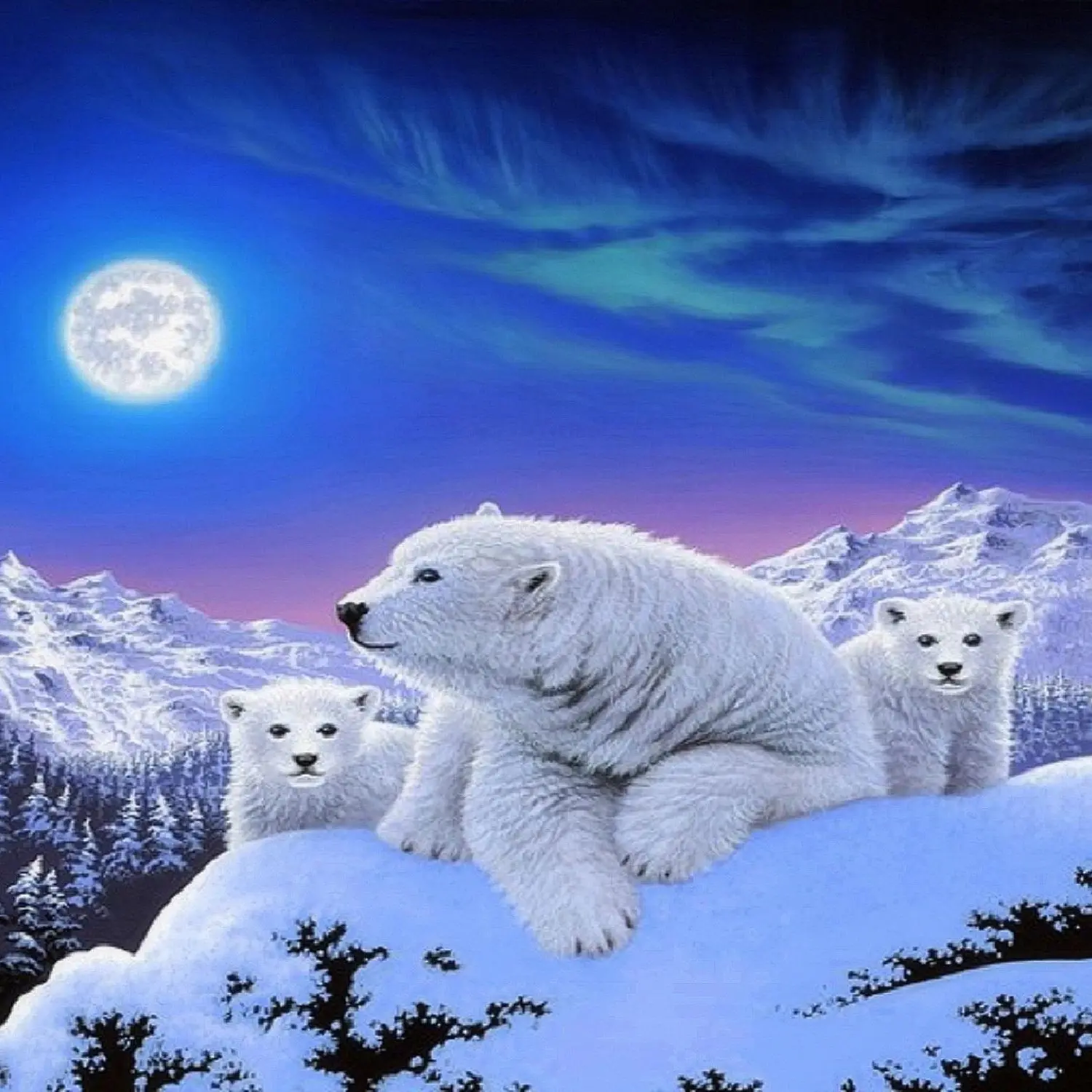 Artic Bear Finance logo