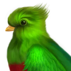 Birds logo