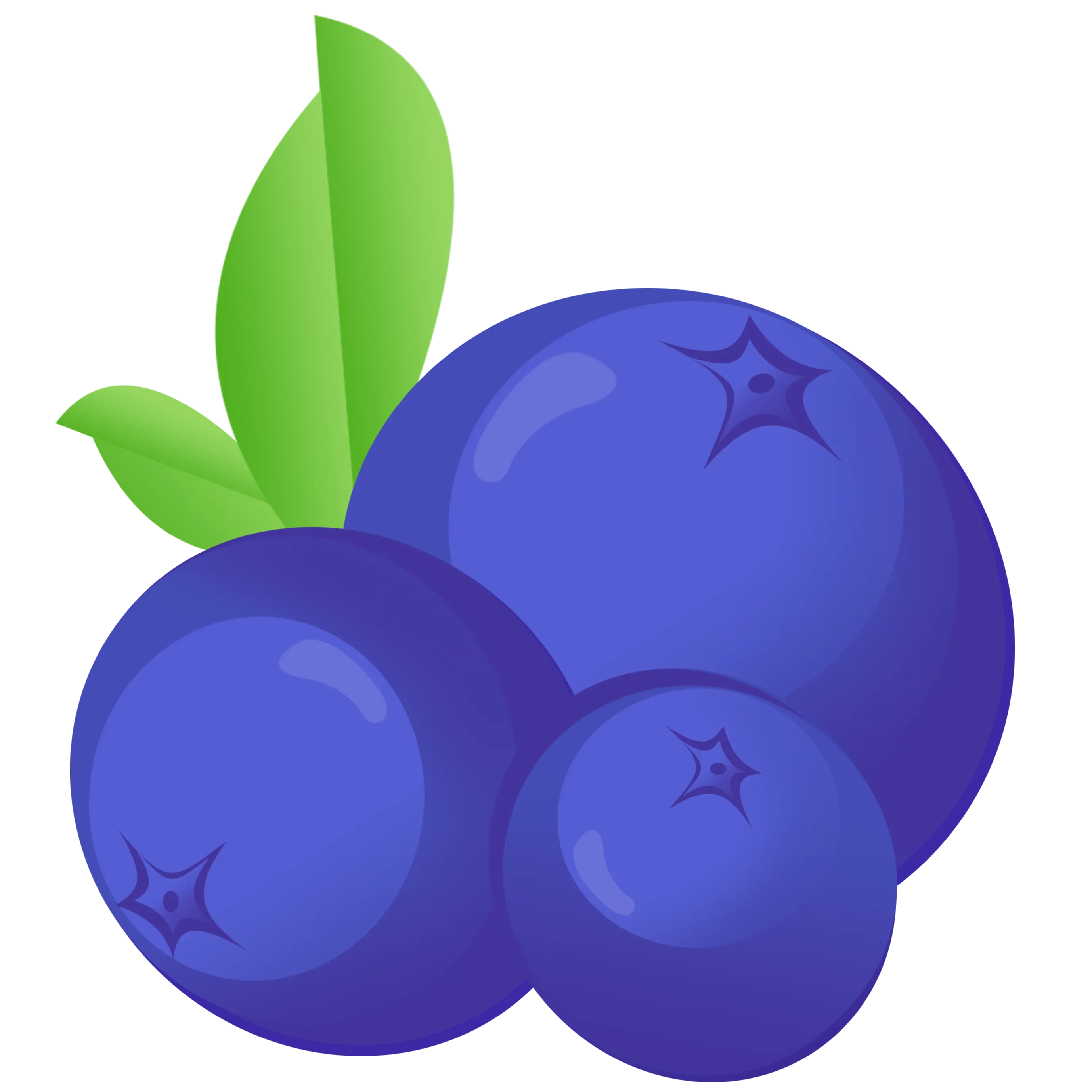 BlueBerry Finance logo