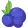 BlueBerry Finance logo