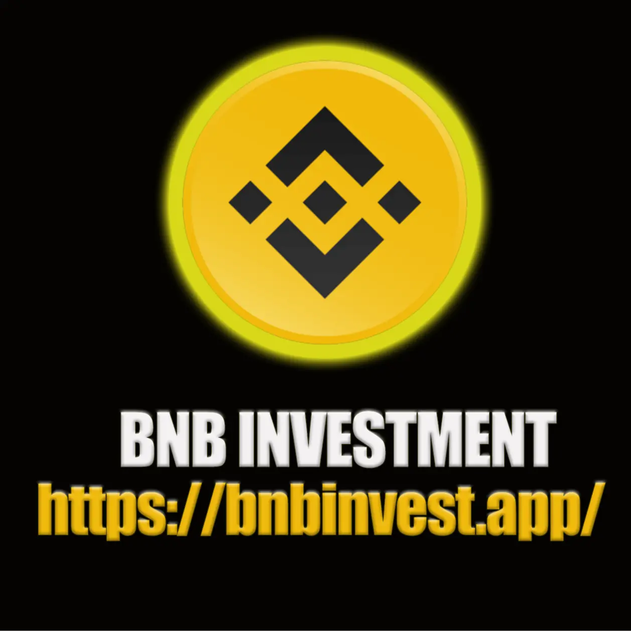 BNB INVEST logo