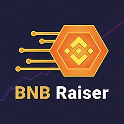 BNB Raiser logo