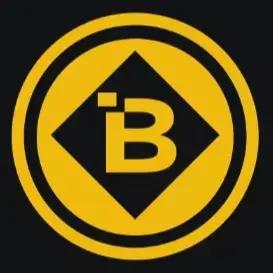 BNBmiracle logo