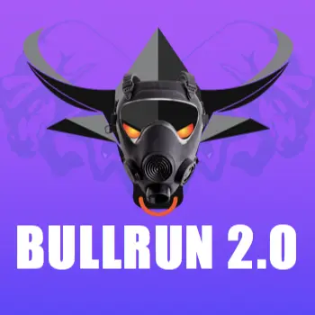 BULLRUN2 logo