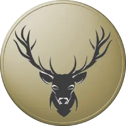 Deer Finance logo