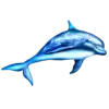 DelFin 2 logo