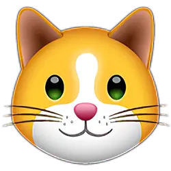 Kitten.Finance logo