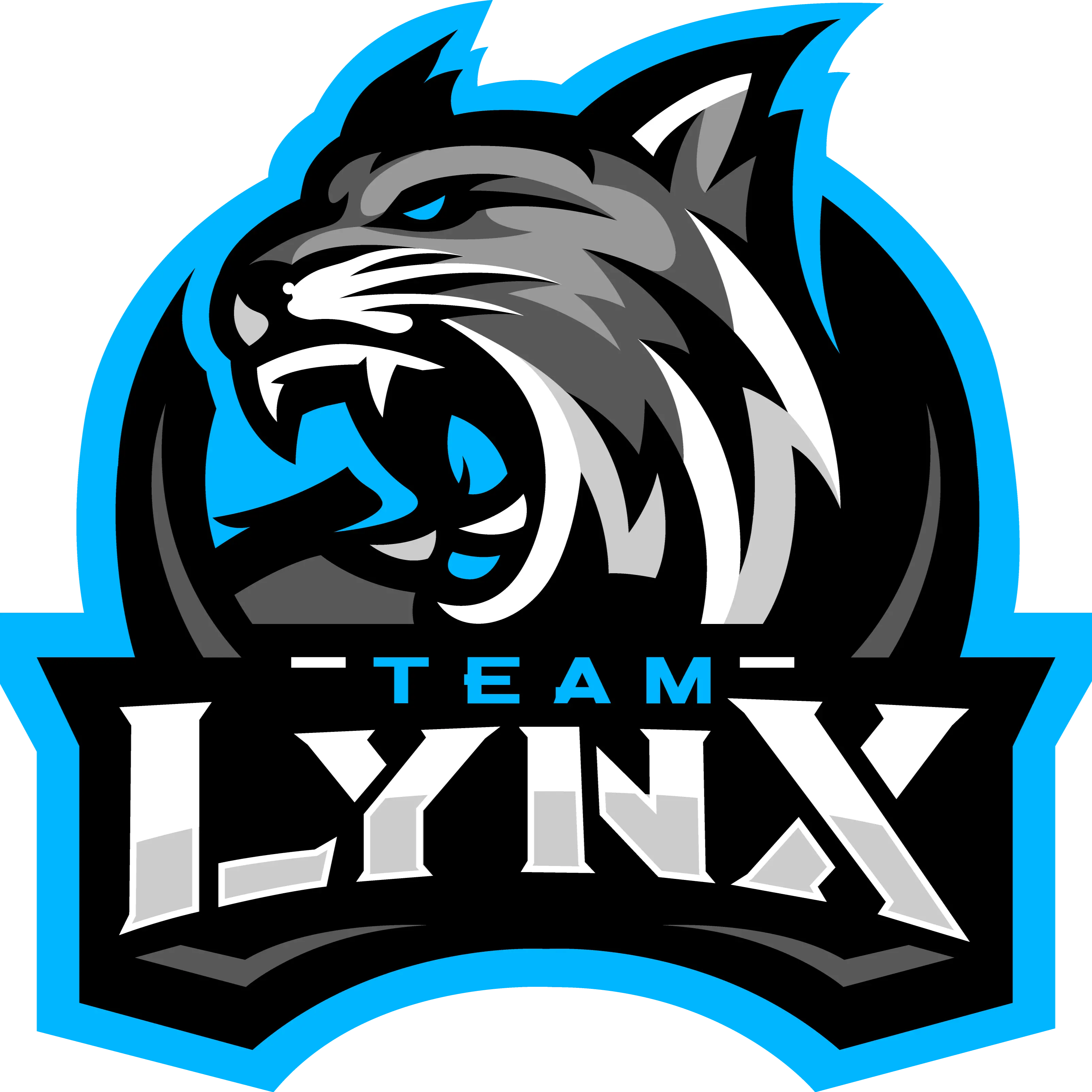 LynxDefi logo