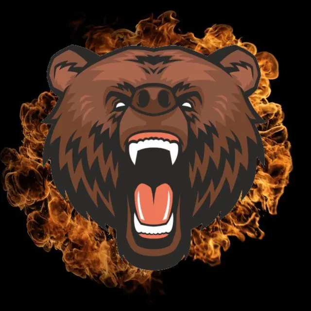 POLYBEAR logo