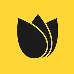 Sesameseed Governance logo