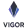 VIGOR logo