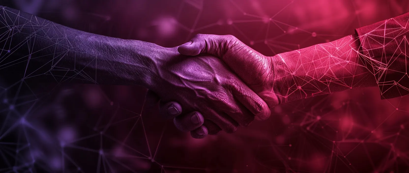 Pi Network: New Partnerships and Token Price Decline