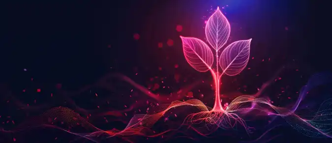 Обзор My Lovely Planet — экологическая блокчейн-игра на Polygon с токеном $MLC