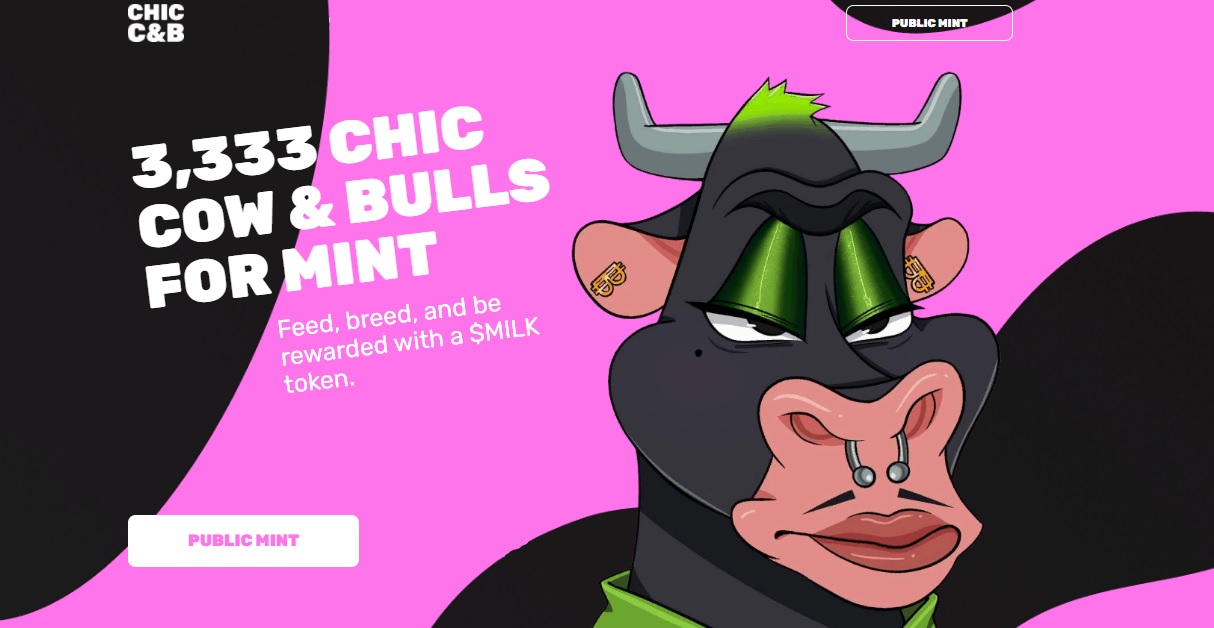 Chic Cow & Bullzz
