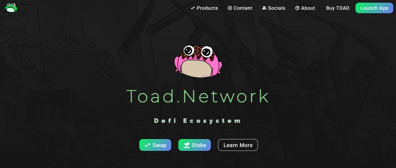 TOAD.Network 