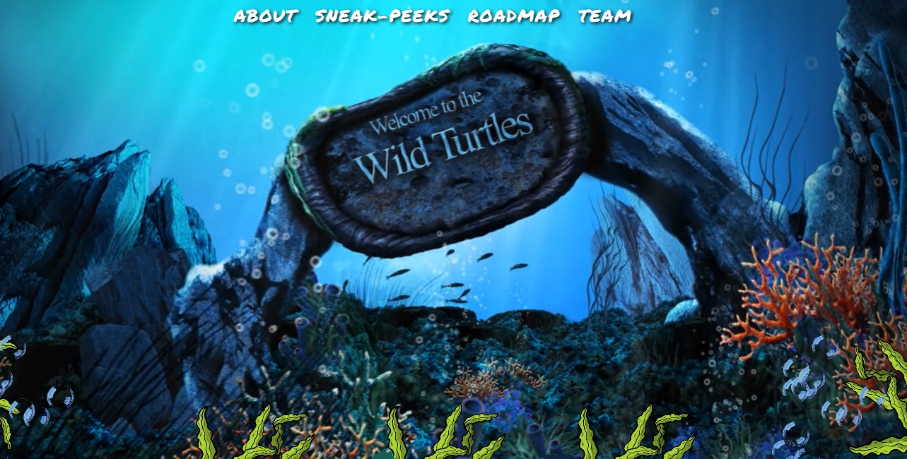 Wild Turtles