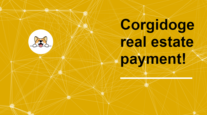 Corgidoge BSC DEFI - dapp.expert