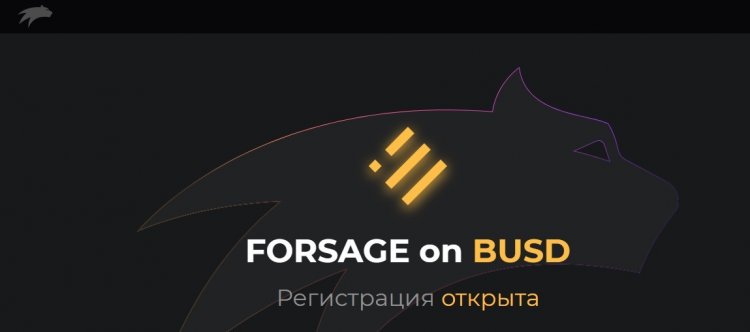 Forsage BSC - dapp.expert